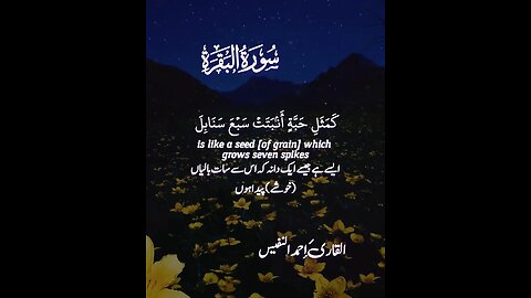 Surah Al Baqrah By Qari Ahmad Al Nafees