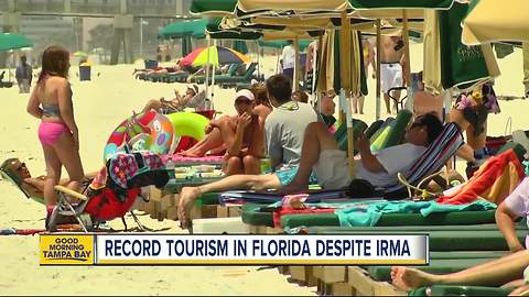 Florida sees record tourism numbers despite Hurricane Irma