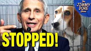 Fauci Stopped From Torturing Dogs!