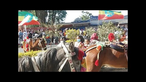 Ethiopia: ሰበር| Live Adwa Celebration| Zehabesha | top mereja