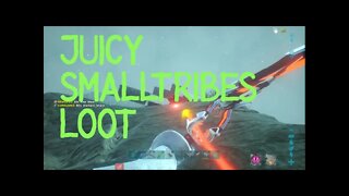 JUICY SMALL TRIBES LOOT S:4 EP:37 raiding, solo, pvp