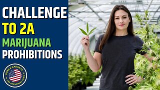 Challenge To 2A Mary-Jane Prohibitions