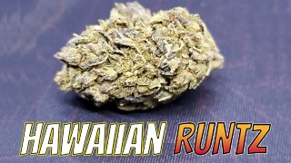 Hawaiian Runtz Strain Review