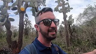 Searching for the Galapagos Island's giant tortoises! 🐢