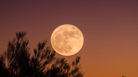🌕 Full Moon - What's Coming Up?