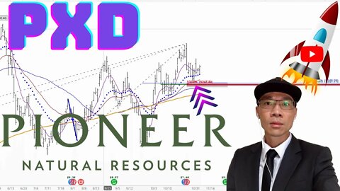 Pioneer Natural Resources Stock Technical Analysis | $PXD Price Predictions