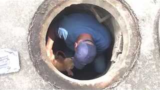 Sewer Rescue | Stray Rescue of St.Louis