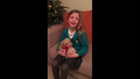 Little girl overwhelmed by new puppy surprise