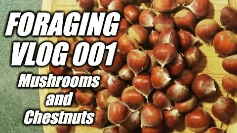 Forgaging Vlog 001: Mushrooms and Chestnuts