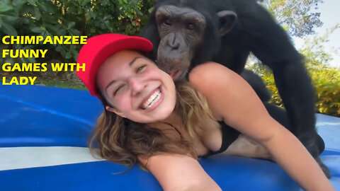 Chimpanzee Funny Games with Ladies