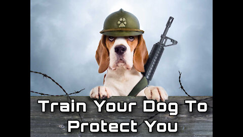 How To Train Your Dog To Protect You