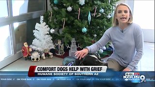 Comfort dogs are available during times of loss, trauma, grief