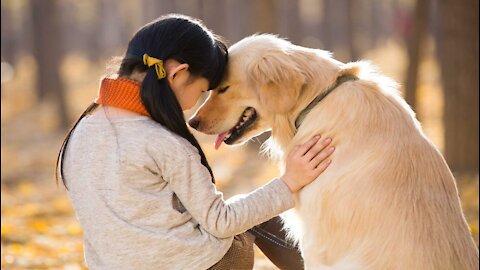 You Wanna a True Friend ! Get a Dog - Dogs really are best friend of Human, Cute Pets