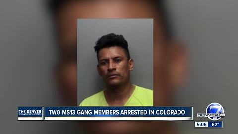 Colorado involved in nationwide arrests of violent gang members