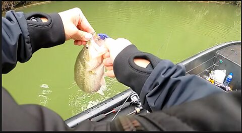 Amazing Automatic Fishing Net Catch Giant Fish - on the lack and river.