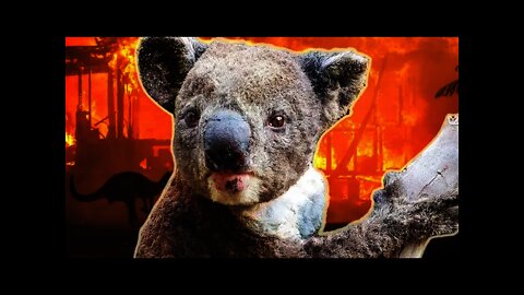 The Truth About the Australian Bushfires