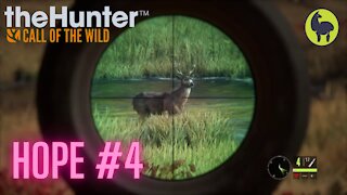 The Hunter: Call of the Wild, Hope #4