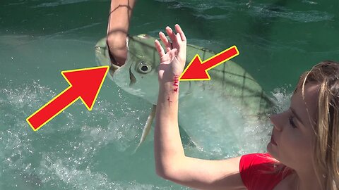 GIRLS hand feed MONSTER fish and Sharks!