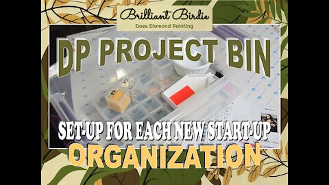 Starting New DP Project? Set-up a New Project Bin! Stay Organized and Sane.