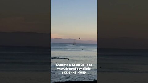 Sunsets & Stem Cells. A Wellness Journey #stemcells #sunsets #sunsetsandstemcells #stemcell