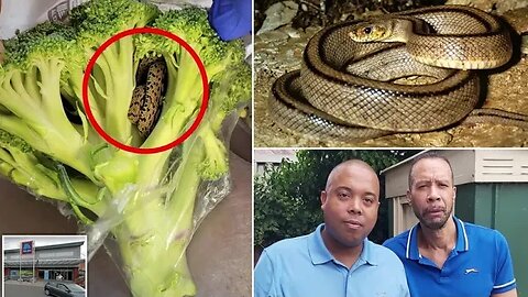 A man found a snake found in Aldi Broccoli Shocking video