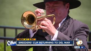 Breeders' Cup returning to Del Mar