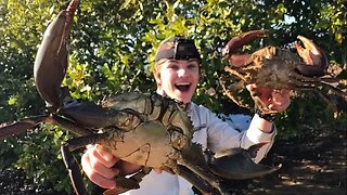 Catch n Cook barehanded MUDCRABS! HD