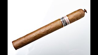 Nestor Miranda Special Selection 20th Anniversary Danno Oscuro Cigar Review