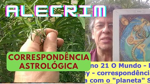 Alecrim, Correspondência Astrológica com O Sol e Tantra Arcano 21 O Mundo