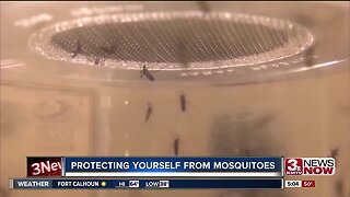 Protecting yourself from mosquitoes after recent flooding