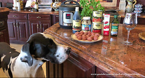 Great Danes Check Out Instapot Spaghetti and Meatball Recipe