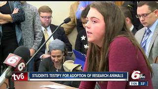 Middle school students testify at Indiana Statehouse for adoption of research animals bill