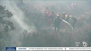 Retired fire battalion chief reacts to Bunnie Fire