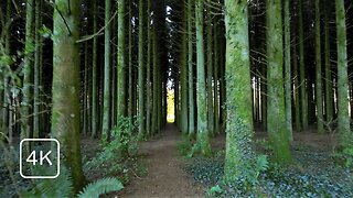 [4K] Virtual Hike through an Irish landscape with white-noise nature sounds for sleep