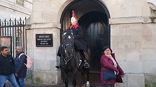 The horse stop her touching the reins January 2023 #horseguardsparade .