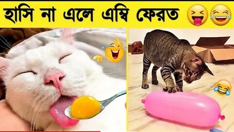 পশু পাখির মজার কান্ড ক্যামেরায় ধরা পড়া | Funny Animal Videos 2023 Funnies...