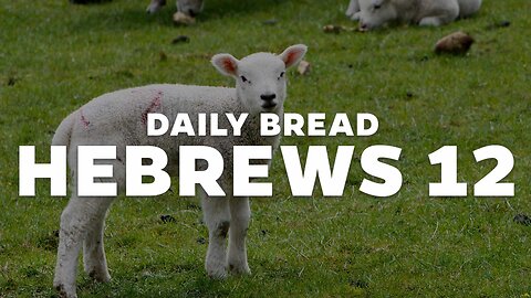 Daily Bread: Hebrews 12