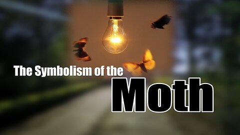 The Symbolism of the Moth