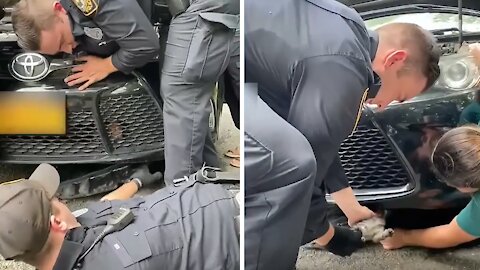 Police Officers Rescue Kitten Trapped In Car Engine