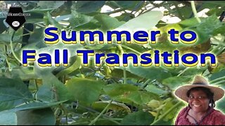 Summer To Fall Garden Transition