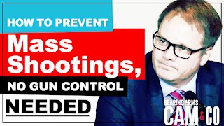 How To Prevent Mass Shootings, No Gun Control Needed