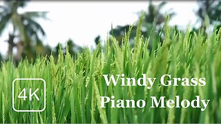 Windy Grass Piano Melody for Ultimate Relaxation and Sleep