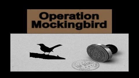 Mockingbird media in hyperdrive!