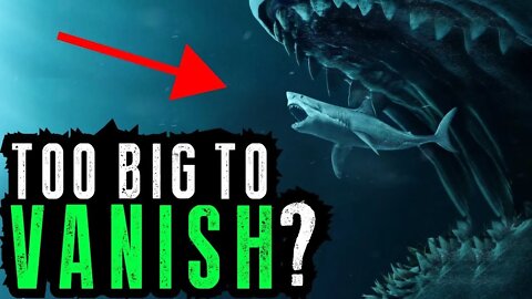 3 MASSIVE Disappearances | 9ft Apex Predator Swallowed Whole??