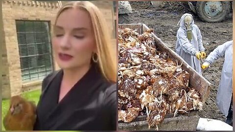 PRACTICING FOR DEMOCIDE: US GOVERNMENT MURDERS 92 MILLION CHICKENS: OUR FAMILIES ARE NEXT