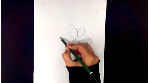 How To Draw Flowers Easy