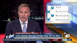 Scripps Research finds possible weak spot in virus