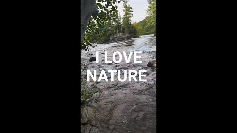 I love nature so much #shorts