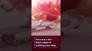 How to train your dog, Step by Step dog training, #shorts