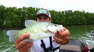 Vertically Jigging Trees for Post Spawn Crappie (Texas Fishing)